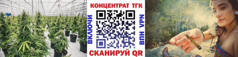 ТГК вейп с тгк  гидра зеркало  Горняк 