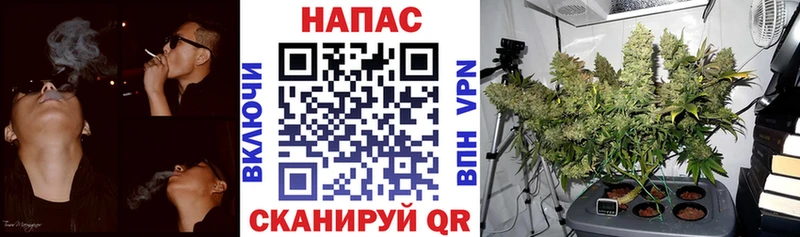 Бошки марихуана Amnesia  сколько стоит  кракен ONION  нарко площадка состав  Горняк 